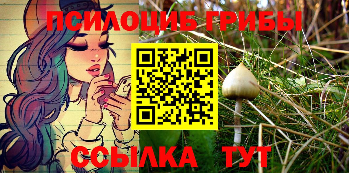 Псилоцибиновые грибы мицелий Сыктывкар