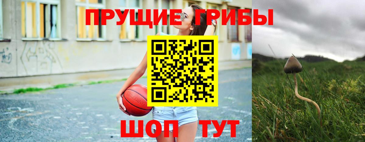 хочу   Вход с VPN  Сыктывкар  Псилоцибиновые грибы мицелий 